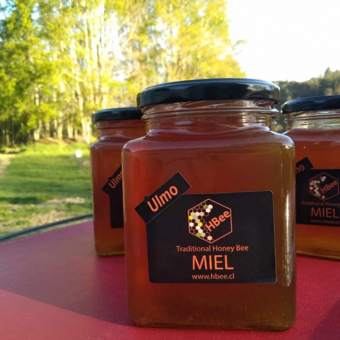 Miel Ulmo Orgánica, 1 kilo