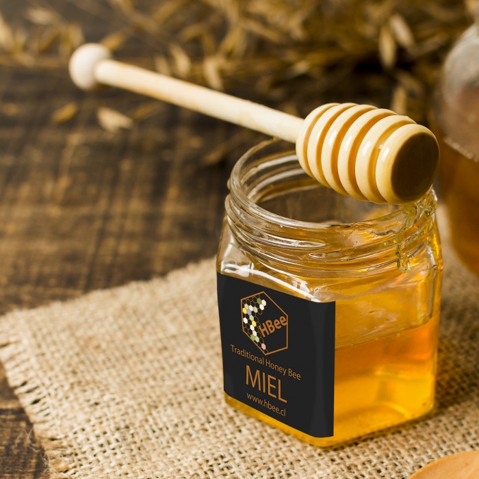 Miel Ulmo Orgánica, 300 gramos