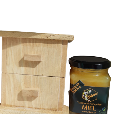 Mini colmena con miel 